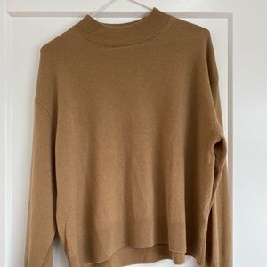 Everlane Cashmere Mockneck Sweater